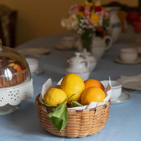 Palazzo Ammone - Sedil Dominova